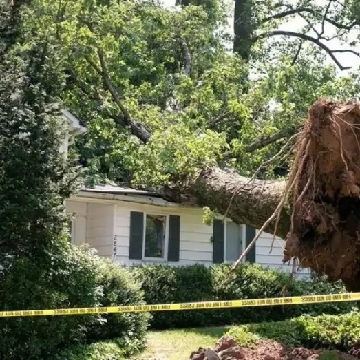 Storm Wind Damage Repair Services in Camden, SC